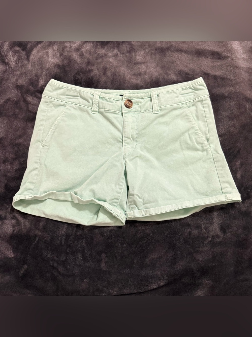 American Eagle Outfitters Mint Green Casual Shorts